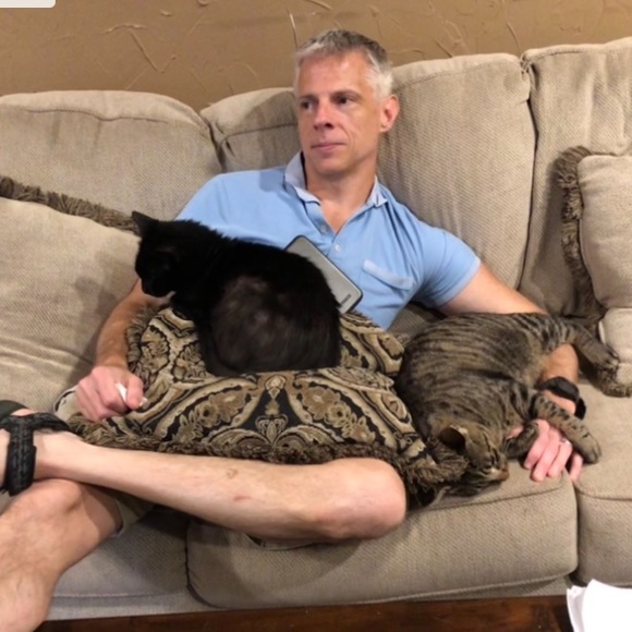 Funny Cat Photos! - Picture 10 of 15